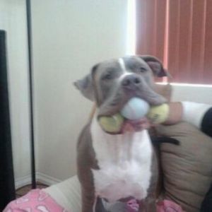 Meet your Posher, Aron